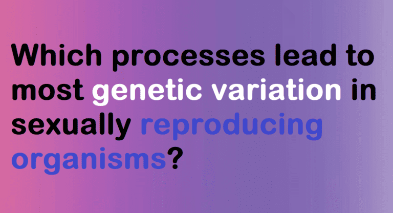 Which Processes Lead To Most Genetic Variation In Sexually Reproducing Organisms 3604