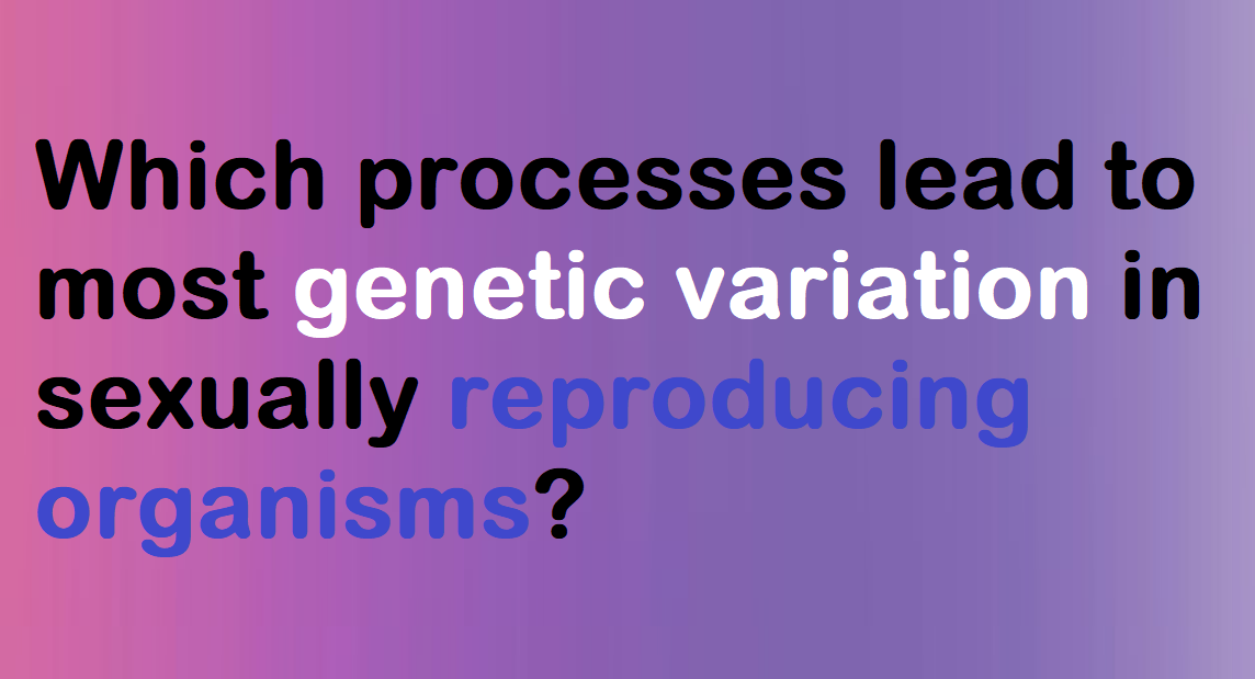 Which processes lead to most genetic variation in sexually reproducing organisms?