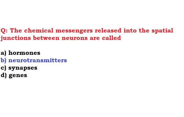 the-chemical-messengers-released-into-the-spatial-junctions-between